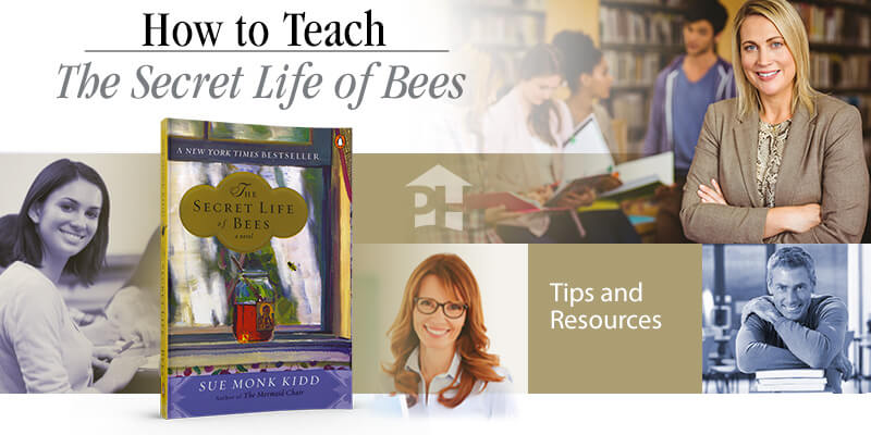 How to Teach The Secret Life of Bees